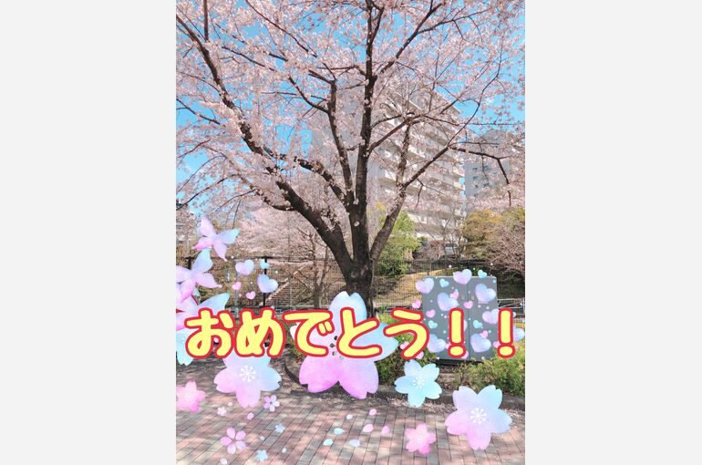 AB9B4557-6C23-4474-AF66-4E1A276F3EAC